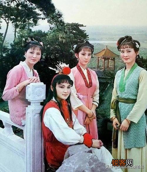 宝玉说院子里的海棠代表晴雯,袭人为何生气？袭人和晴雯,谁是海棠花？