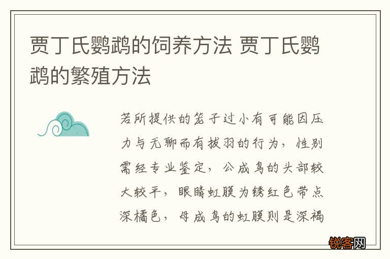 贾丁氏鹦鹉的饲养方法 贾丁氏鹦鹉的繁殖方法