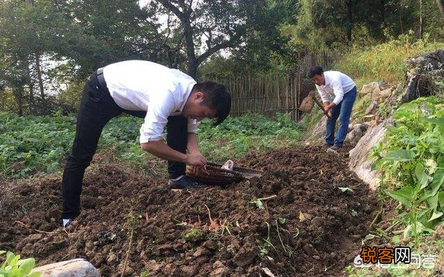 为什么有些农村有“天上雷公,地下舅公”的说法？具体是什么意思？