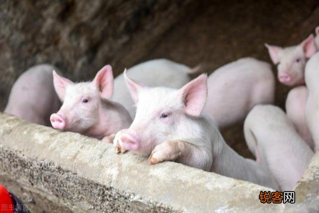 你的亲人有做过什么让你终身难忘的事吗？