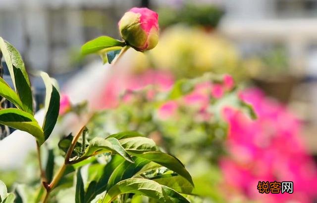 如何理解俗语:“雷打真孝子,财发狠心人”？