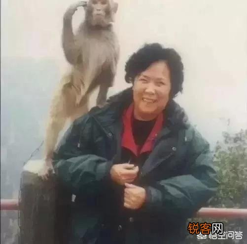 六小龄童的《猴缘》中的小猴子是“野生”还是“驯养”,他一直说是野生的？