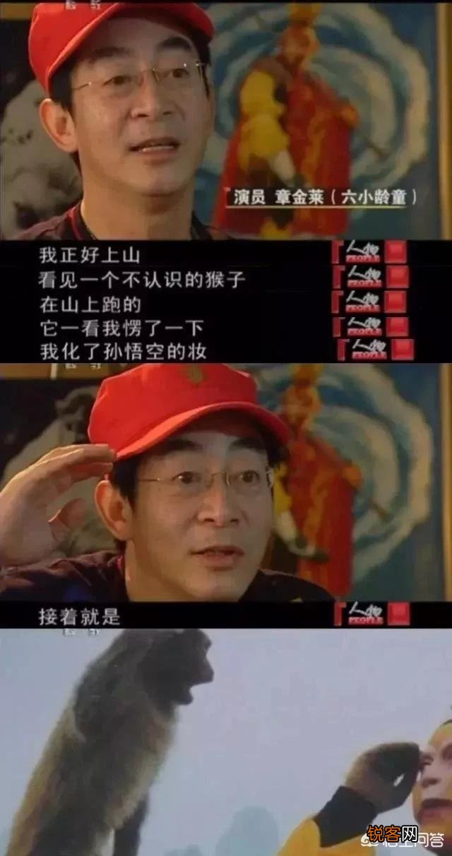 六小龄童的《猴缘》中的小猴子是“野生”还是“驯养”,他一直说是野生的？