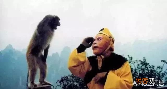 六小龄童的《猴缘》中的小猴子是“野生”还是“驯养”,他一直说是野生的？