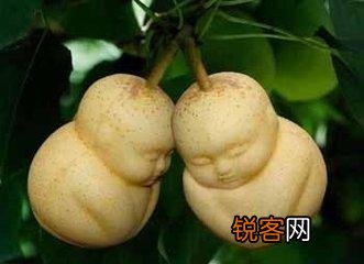 孙悟空大闹地府,划掉猴族的生死簿,为何猴子还是会死呢？