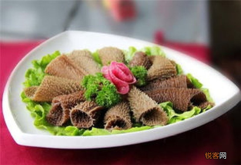 毛肚是什么部位