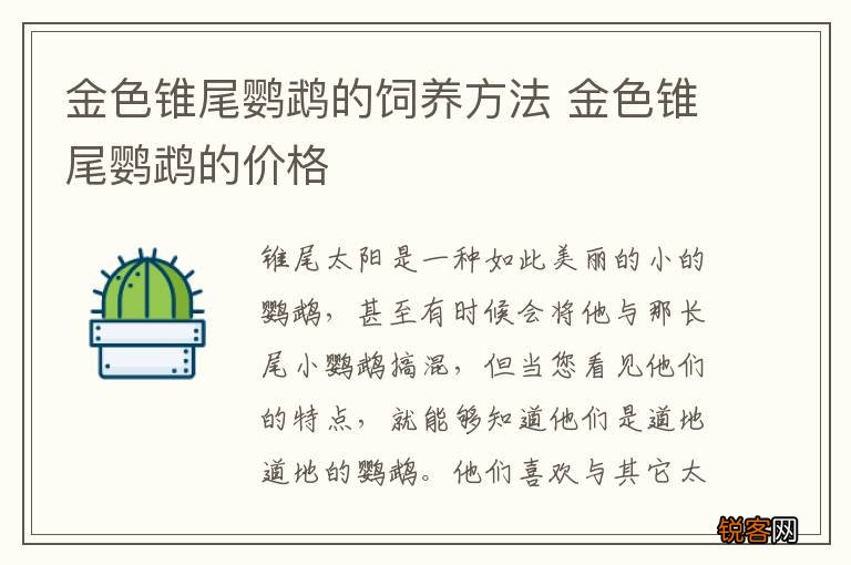 金色锥尾鹦鹉的饲养方法 金色锥尾鹦鹉的价格