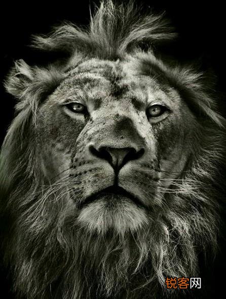 英法联军为什么要“火烧圆明园”？