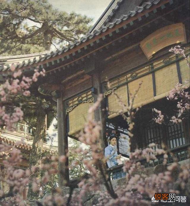 1982年拍摄的电影《火烧圆明园》中的圆明园风景是从哪拍的？