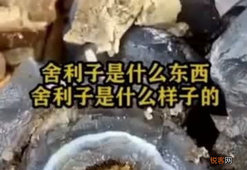 舍利子是什么东西