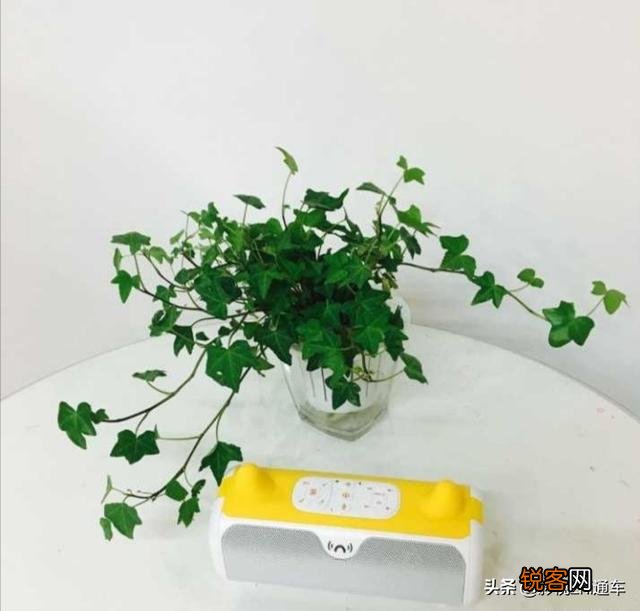 各位宝妈们,有适合外貌协会使用,功能又好的早教机推荐吗？