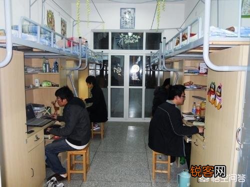 为什么现在很多大学生都喜欢天天待在宿舍睡觉打游戏,他们没有感到迷茫吗？