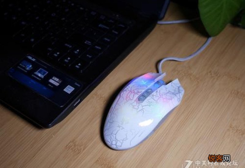 鼠标左右键能用但是不动了怎么办