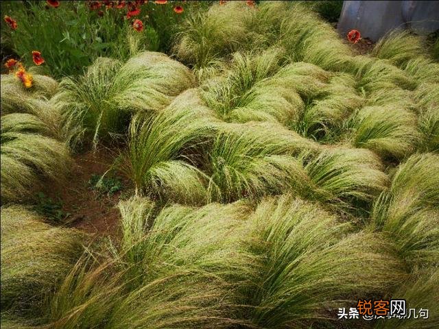 有多少人是为了爱而杀人的？