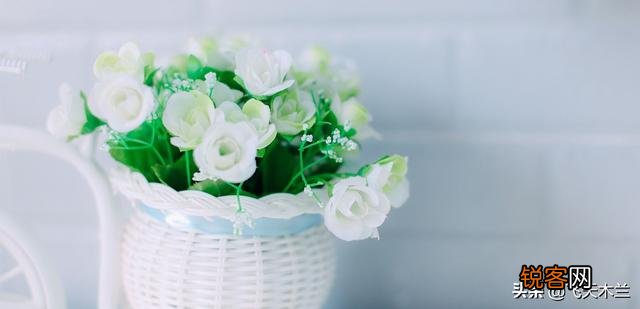 邢台男子用菜刀连砍前妻15刀,到底有什么深仇大恨？