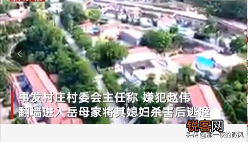 山西男子凌晨翻墙进岳母家杀妻,什么原因？