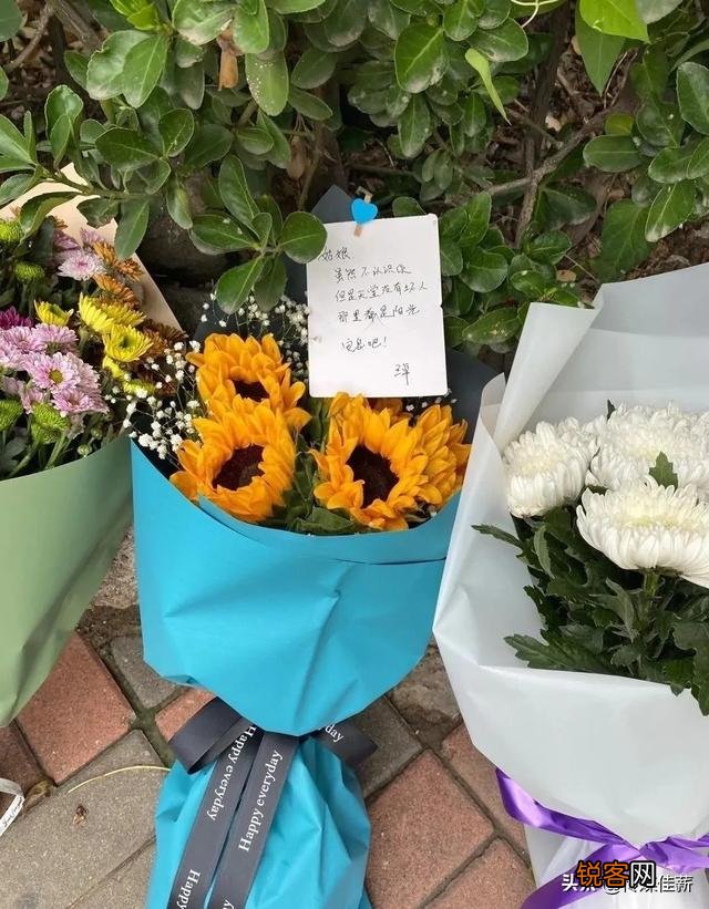 天津行凶的67岁老人刘某某,会被判处死刑吗？