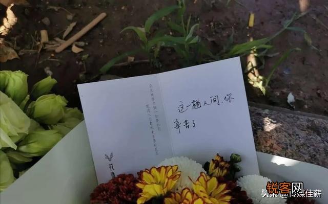 天津行凶的67岁老人刘某某,会被判处死刑吗？