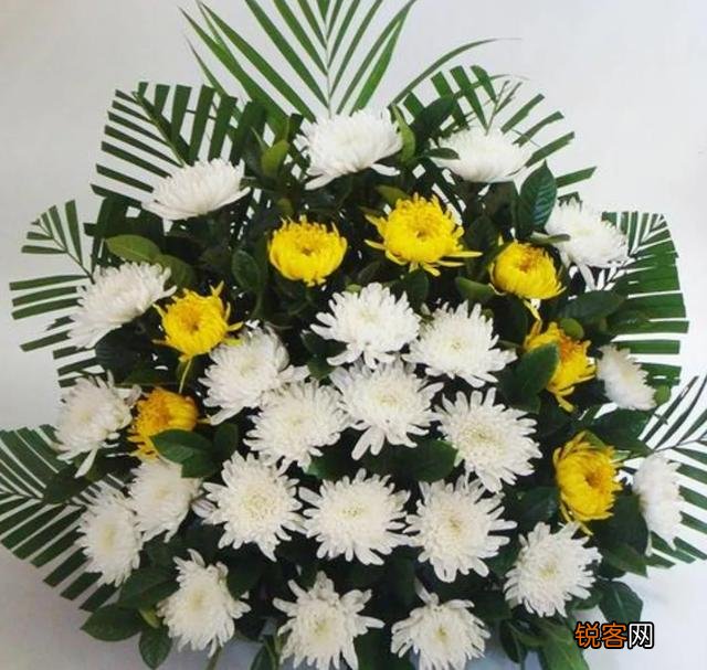 怎样看待绍兴母亲杀子事件？