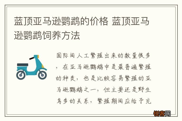 蓝顶亚马逊鹦鹉的价格 蓝顶亚马逊鹦鹉饲养方法