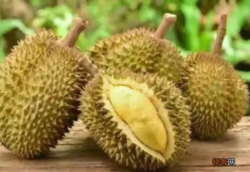 榴莲的臭味来自哪里