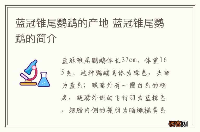 蓝冠锥尾鹦鹉的产地 蓝冠锥尾鹦鹉的简介