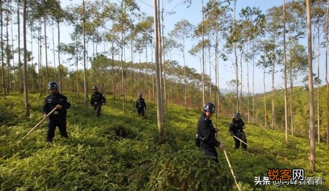 江西杀人犯为何网上没引起多少人关注？