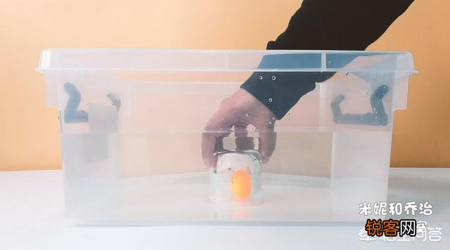 有哪些在家给孩子做的科学实验？