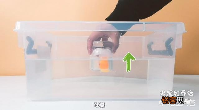 有哪些在家给孩子做的科学实验？