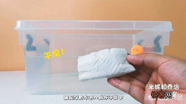 有哪些在家给孩子做的科学实验？