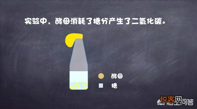 有哪些在家给孩子做的科学实验？