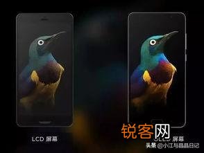 oled屏幕自发光为什么会漏液？漏的是什么液体？