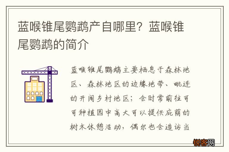 蓝喉锥尾鹦鹉产自哪里？蓝喉锥尾鹦鹉的简介