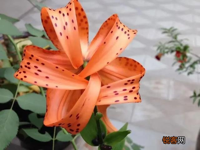 你有没有一件觉得很害羞的事？