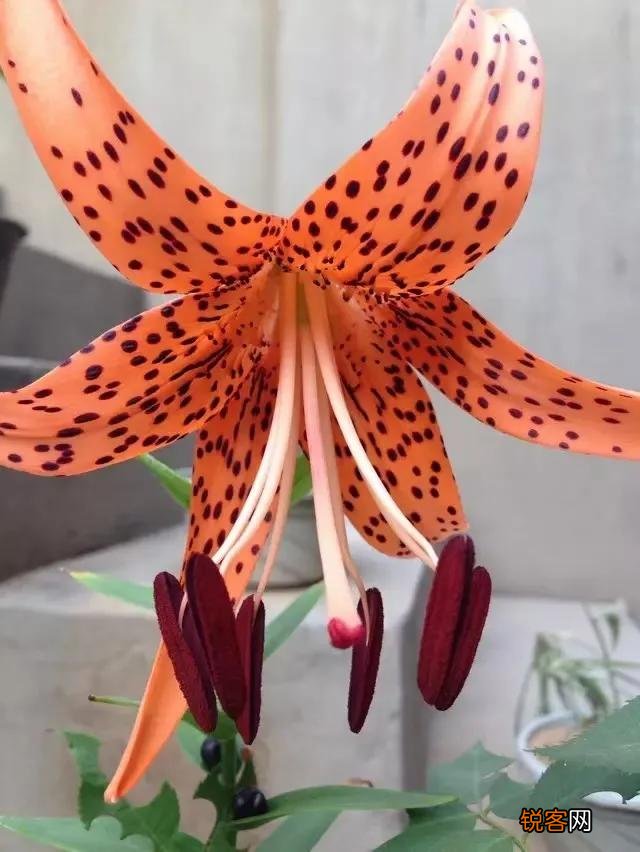 你有没有一件觉得很害羞的事？