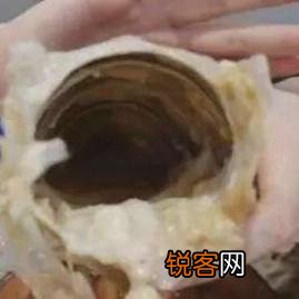你曾脑子一抽买过什么东西？