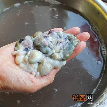 你曾脑子一抽买过什么东西？