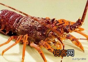 你曾脑子一抽买过什么东西？