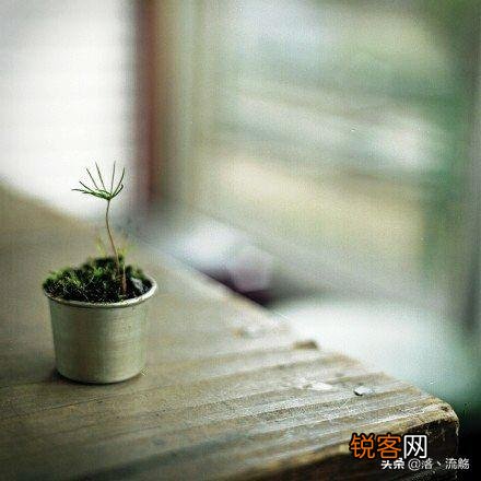 你是否感觉过拥抱的力量？