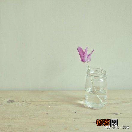 你是否感觉过拥抱的力量？