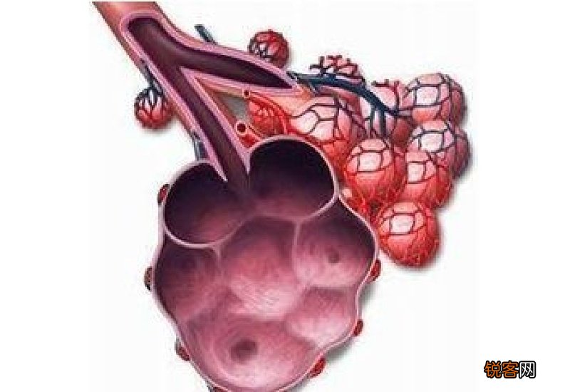 肺大泡能活30年吗