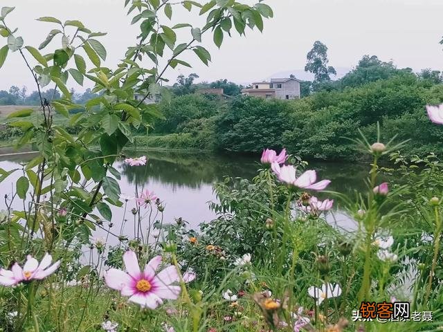 你正在或者曾经受过什么病痛折磨？有什么感悟？