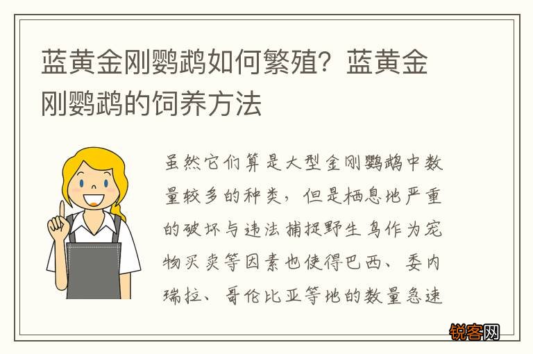 蓝黄金刚鹦鹉如何繁殖？蓝黄金刚鹦鹉的饲养方法