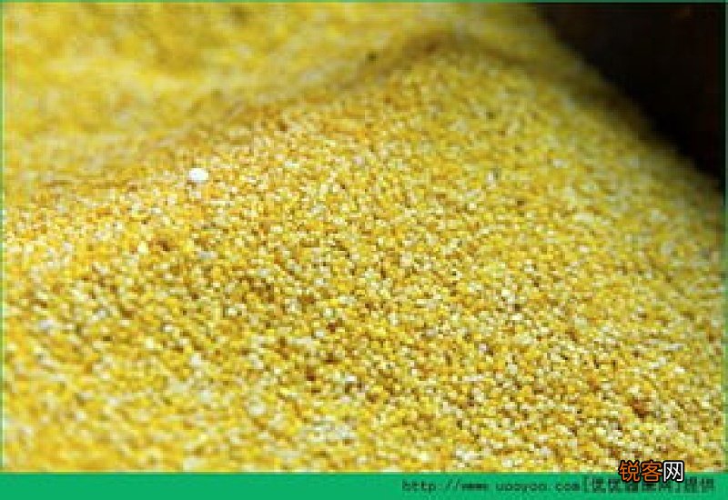 气虚吃什么食物能补气 气虚吃什么食物好