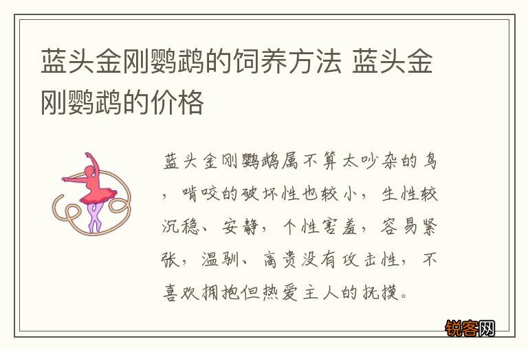 蓝头金刚鹦鹉的饲养方法 蓝头金刚鹦鹉的价格