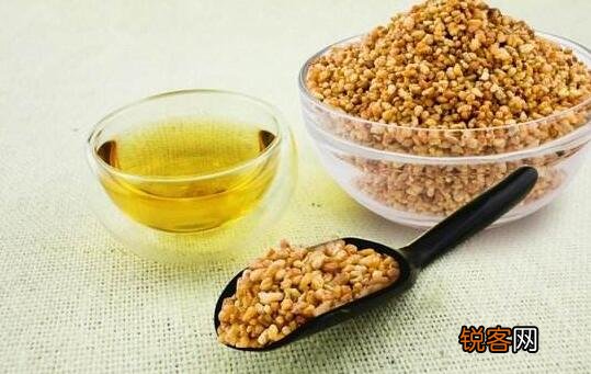 苦荞米的作用与功效 苦荞米的禁忌