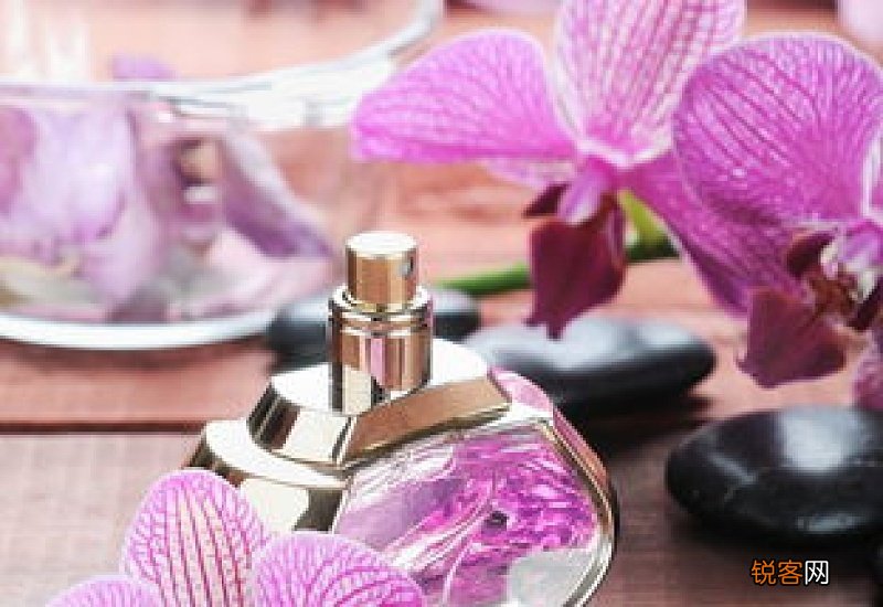 香水edp和edt的区别 香水edp和edt有啥区别