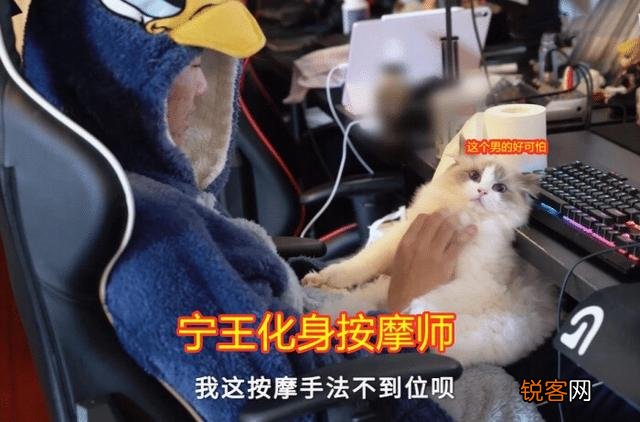 IG赛后花絮曝光,南风喊话：theshy要想玩滑板鞋,宁王必须这么做,如何评价？
