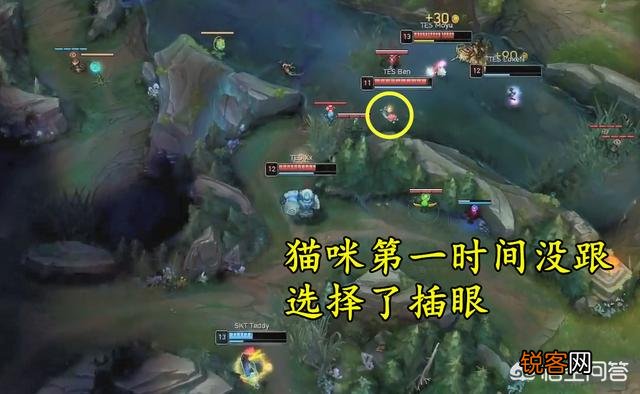 洲际赛Xx强追滑板鞋被认为上头,棍子哥直言凭什么不追,这波是猫咪的锅,你觉得呢？