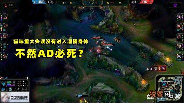 洲际赛Xx强追滑板鞋被认为上头,棍子哥直言凭什么不追,这波是猫咪的锅,你觉得呢？